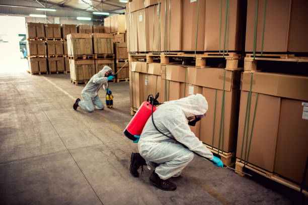 Best Affordable Exterminators  in Hornell, NY