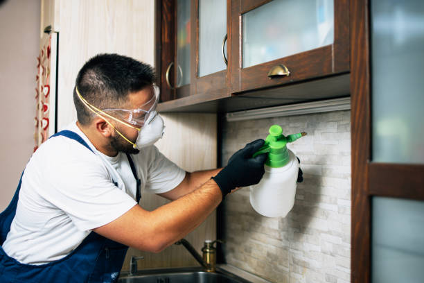 Best Pest Inspection Near Me  in Hornell, NY
