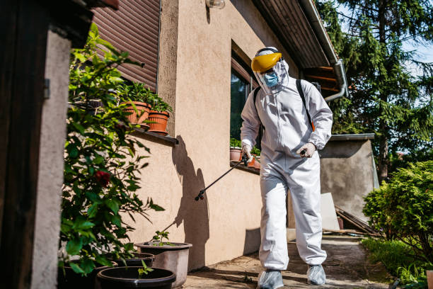 Pest Control Cost in Hornell, NY