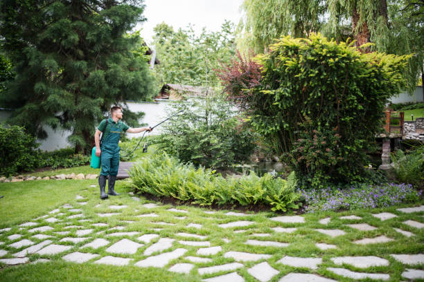Best Mosquito Control Services  in Hornell, NY