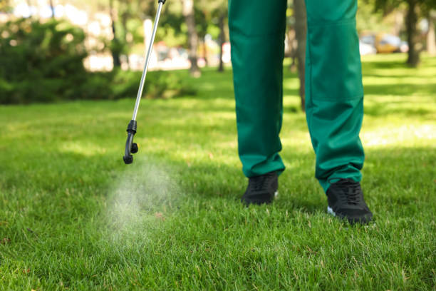 Best Rat Extermination Near Me  in Hornell, NY
