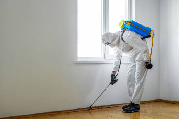 Reliable Hornell, NY Pest Control Solutions