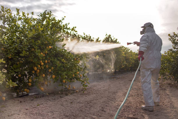 Best Commercial Pest Control Services  in Hornell, NY