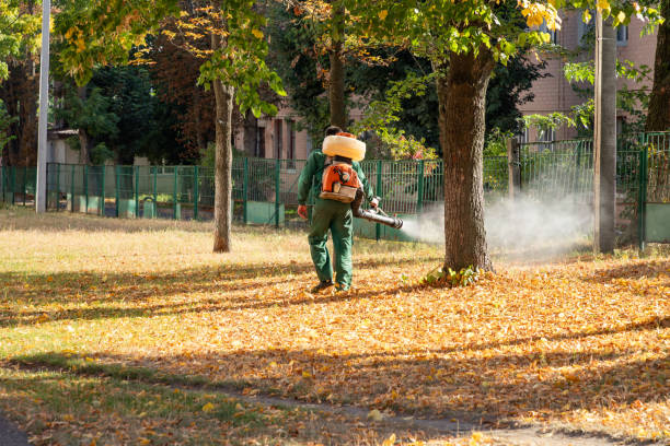Best Affordable Pest Control Services  in Hornell, NY