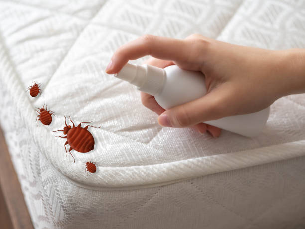 Best Pest Prevention Services  in Hornell, NY