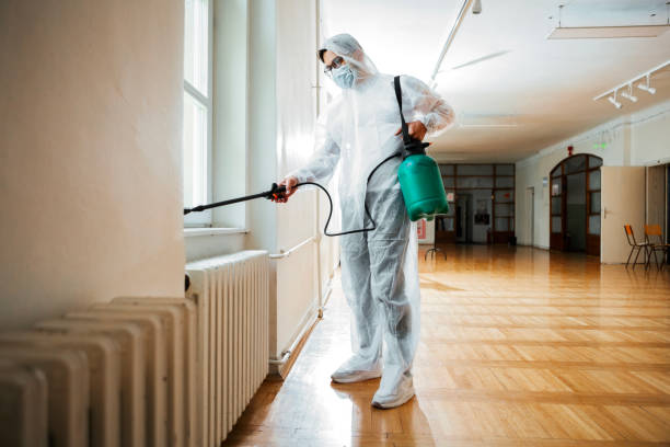 Best Pest Prevention Services  in Hornell, NY