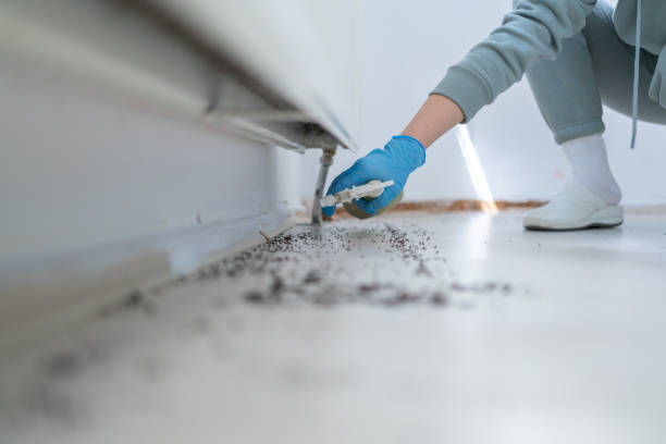 Hornell, NY Pest Control Company