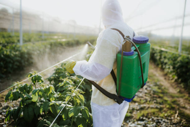 Best Flea Control Services  in Hornell, NY